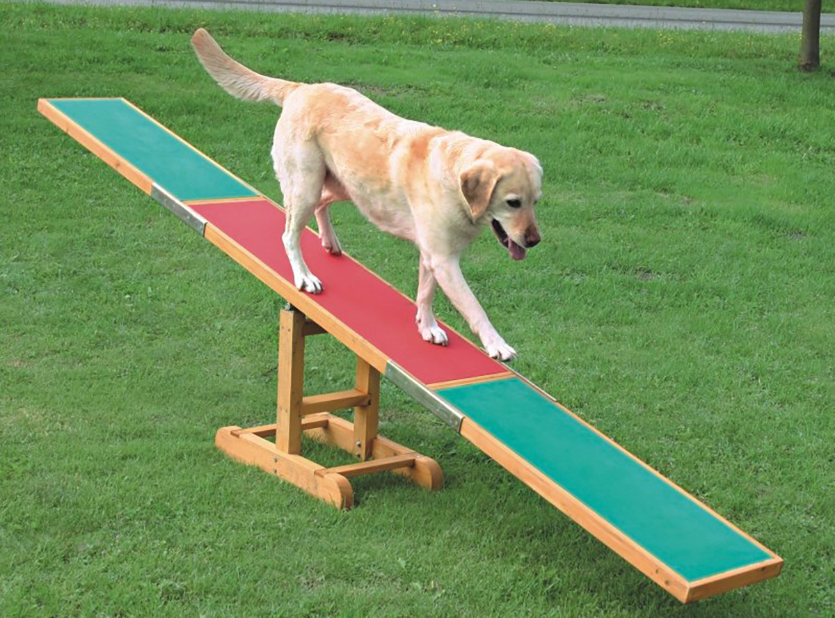 pet playground game (1) 宠物游乐场游戏 (1)