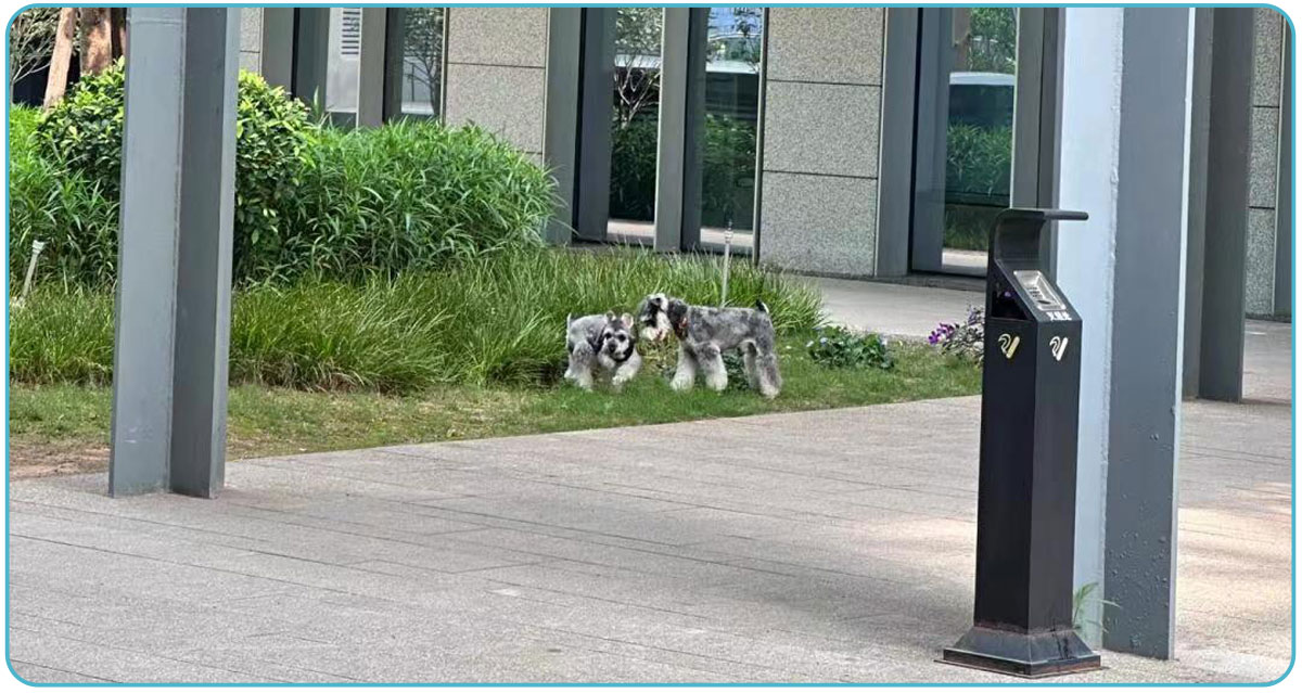 rubbish bin (8) 垃圾桶 (8)