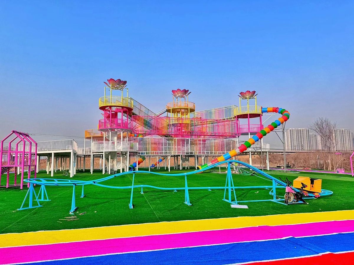 roller coaster (13) 过山车 (13)