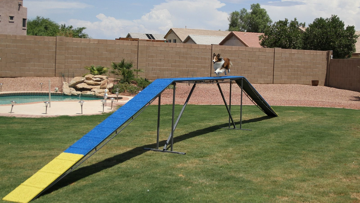 pet playground game (1) 宠物游乐场游戏 (1)