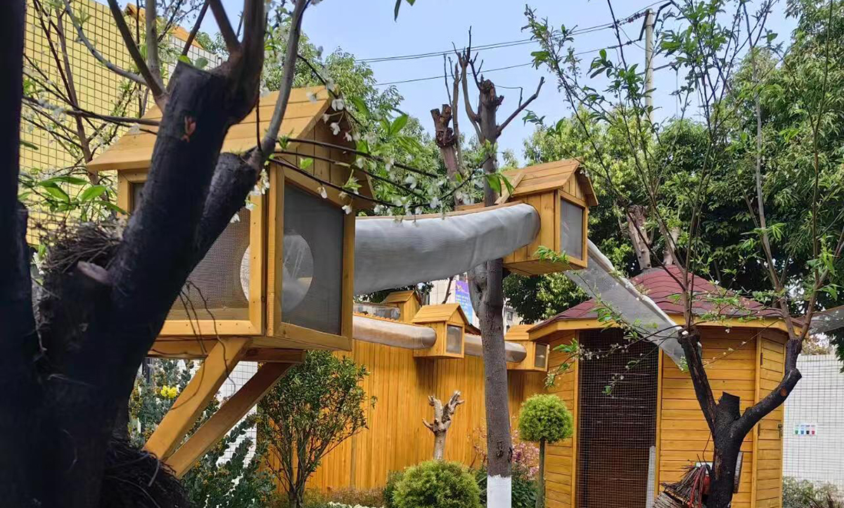 pet playground (9) 宠物游乐场 (9)