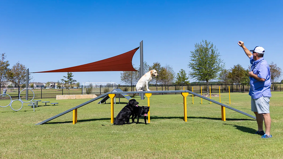 宠物游乐场游戏 (2)