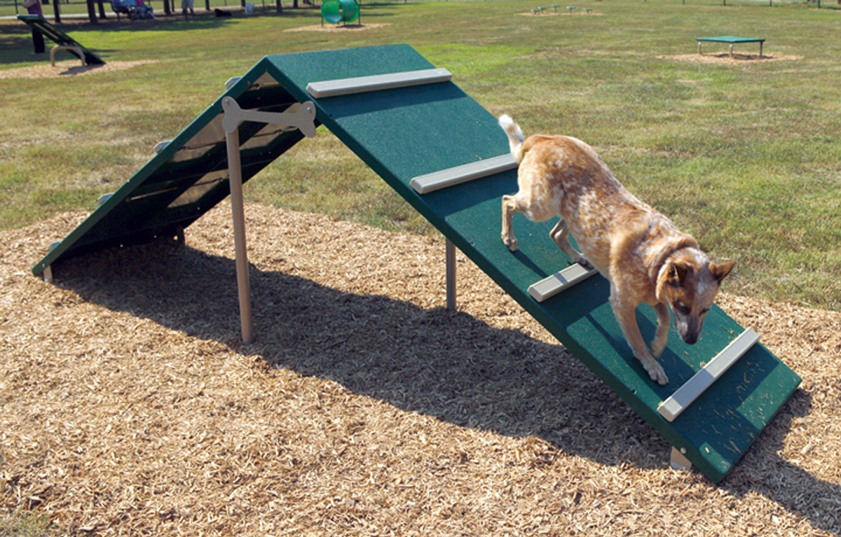 宠物游乐场游戏 (1)