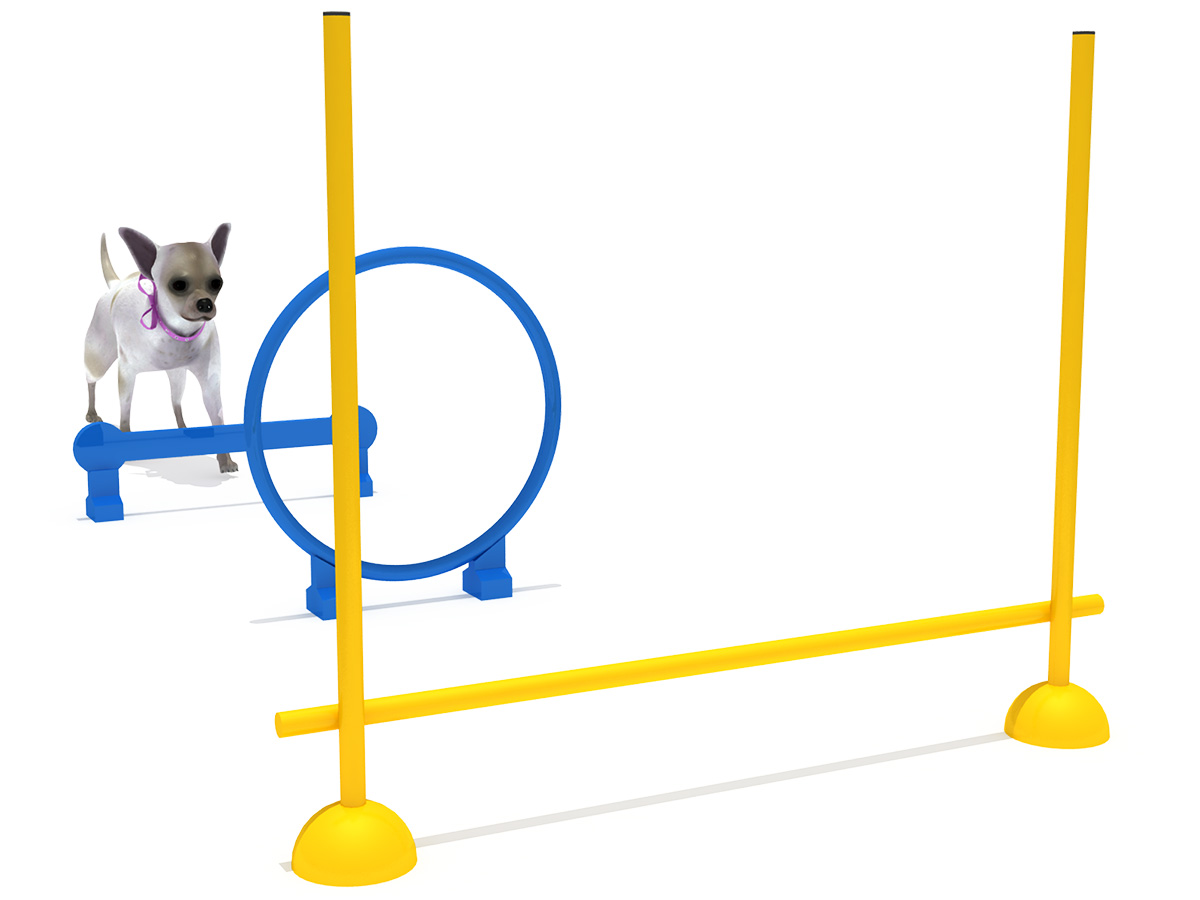 宠物游乐场游戏 (1)