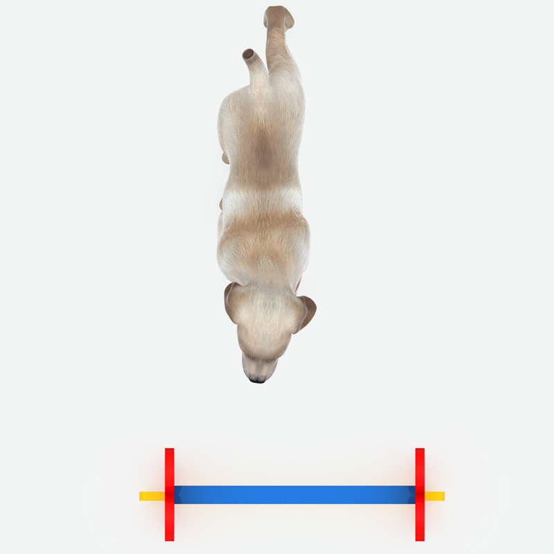 罗孚跳越，宠物游乐设备制造商