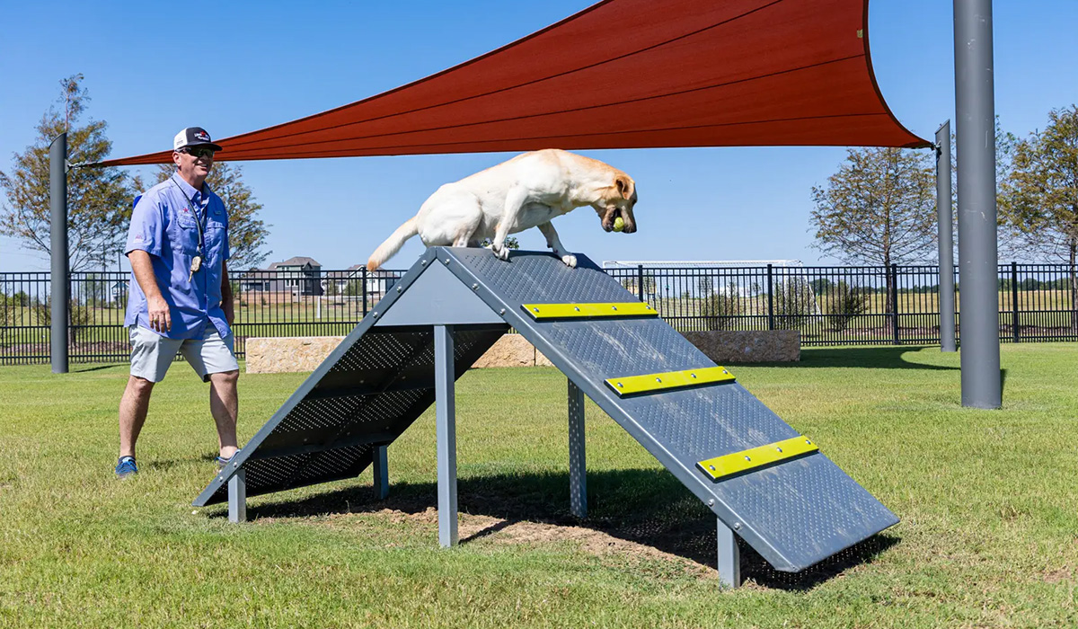 宠物游乐场游戏 (3)