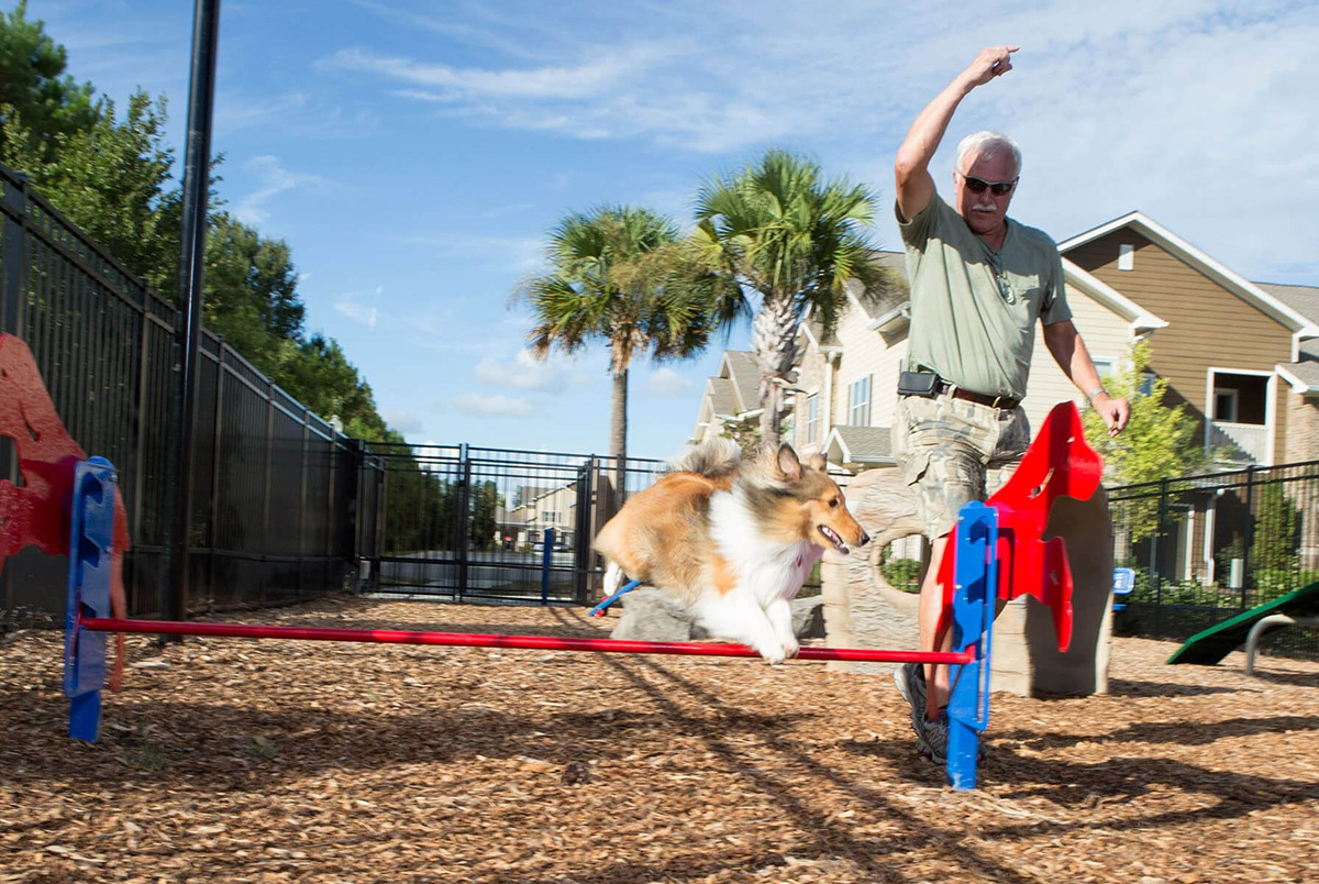 宠物游乐场游戏 (2)