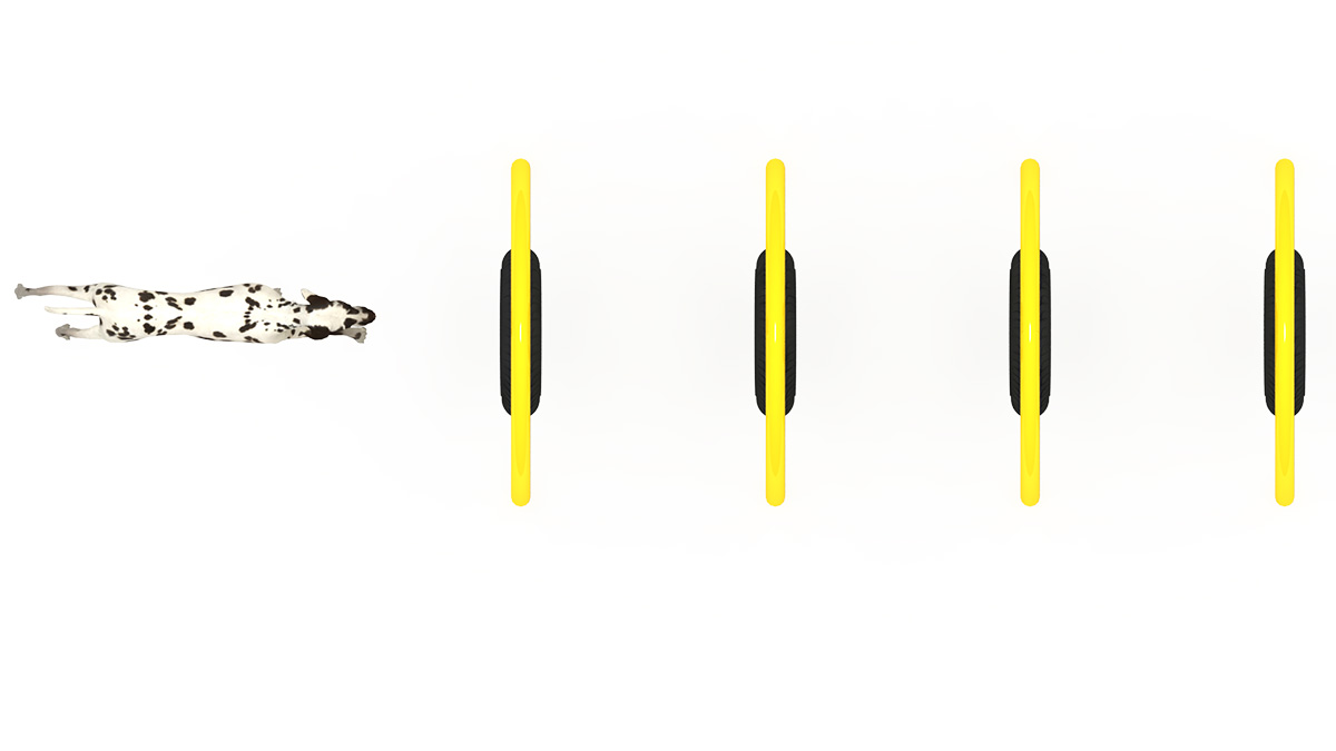 宠物游乐场设备 (2)