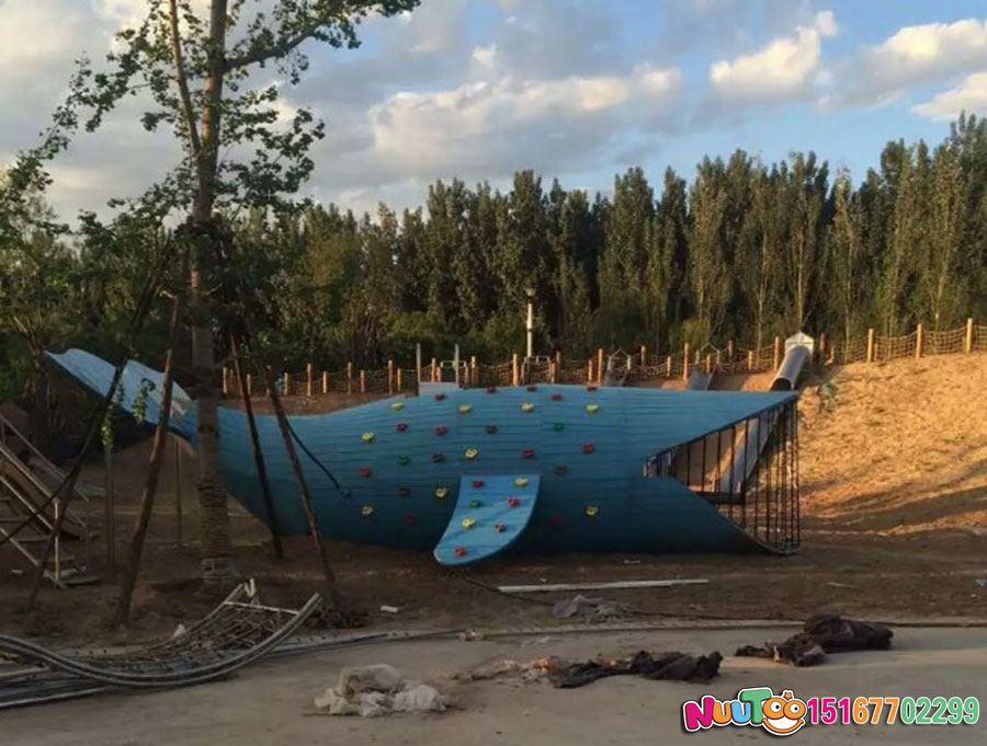 鲨鱼+斜屋+瞭望塔+滑滑梯+非标游乐+儿童游乐设备 (5)