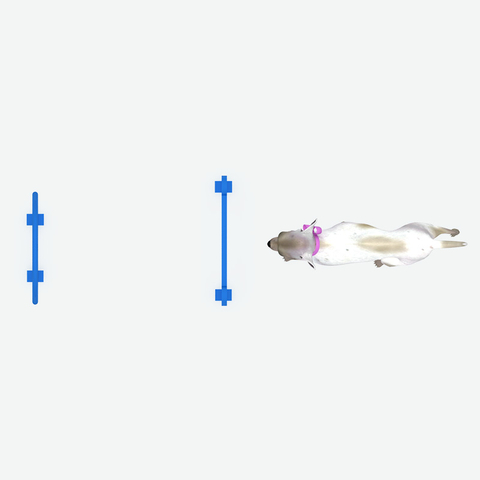 钻环组合，宠物游乐设备供应商