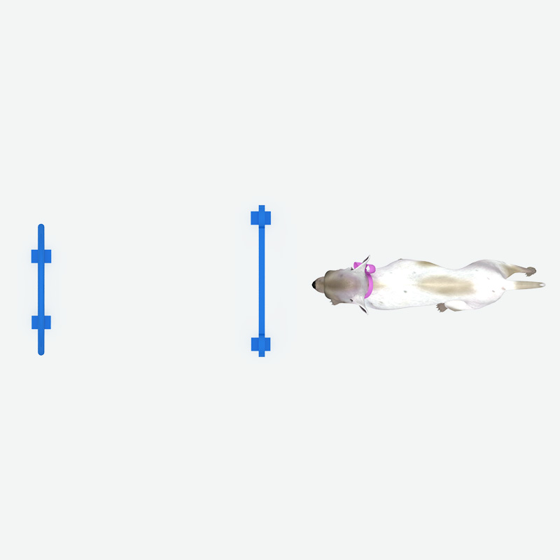 钻环组合，宠物游乐设备供应商