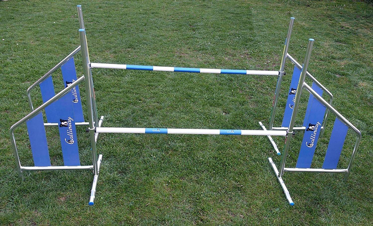 宠物游乐场设备 (2)