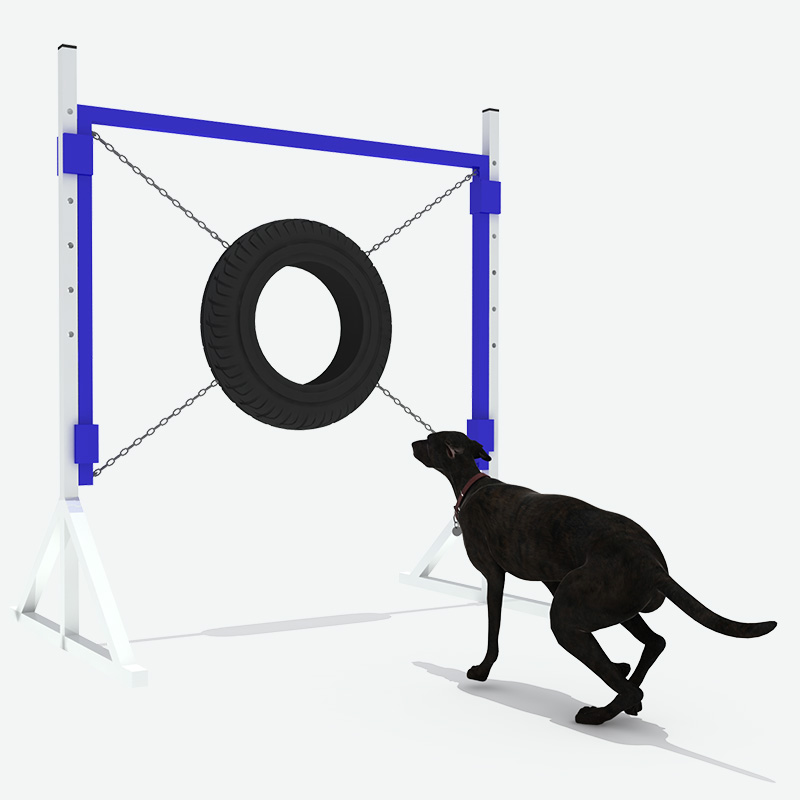 箍杆跳吧，宠物游乐场游戏供应商