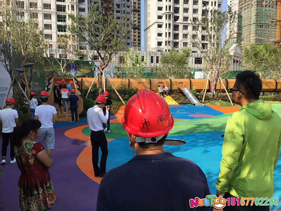 非标游乐+走廊组合滑梯+小区园林游乐+滑滑梯 (35)