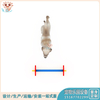 专业宠物跨栏设备 宠物设备厂家 宠物跨栏定制厂家供应——乐图无动力游乐设备