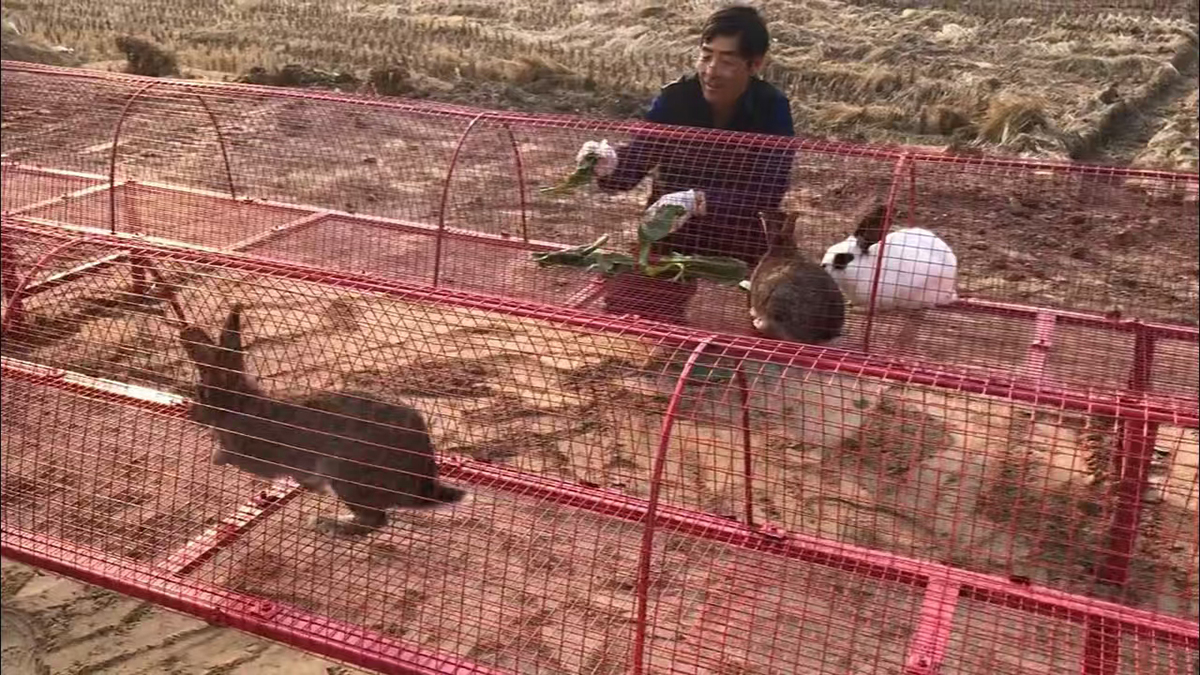 宠物游乐场游戏 (6)