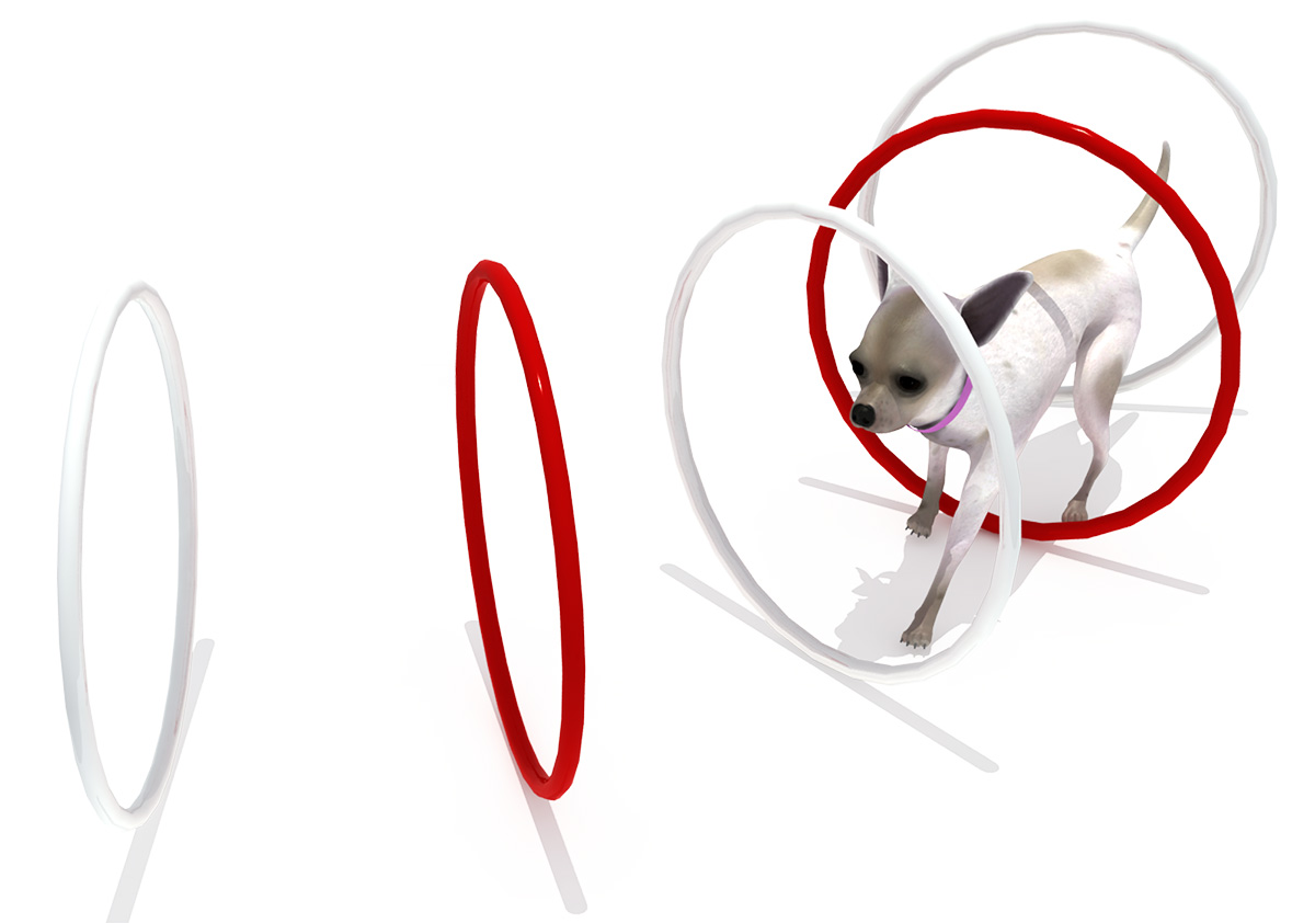 宠物游乐场设备 (1)