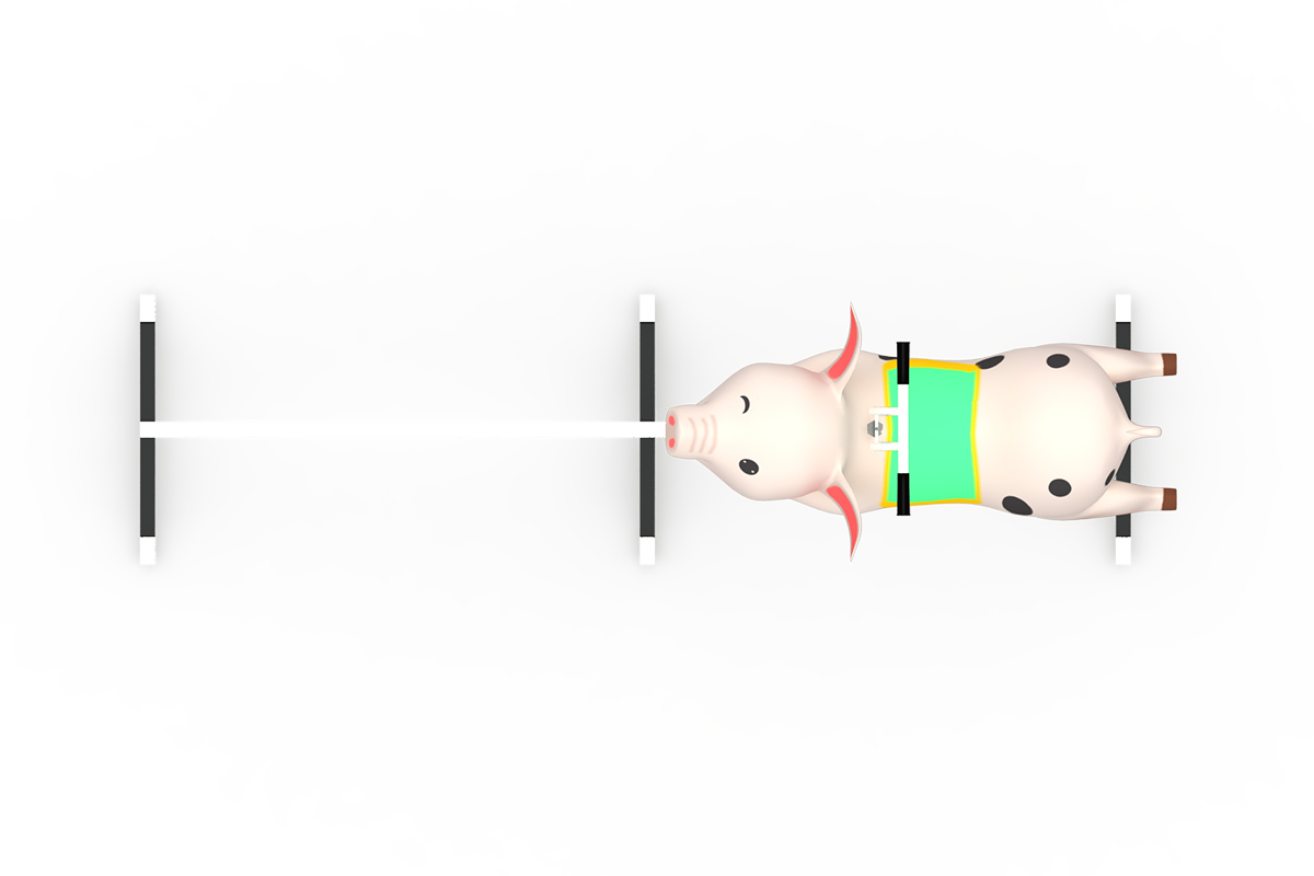 小猪赛跑游戏 (4)