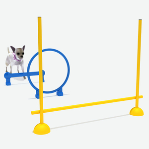 钻环组合，宠物游乐设备供应商