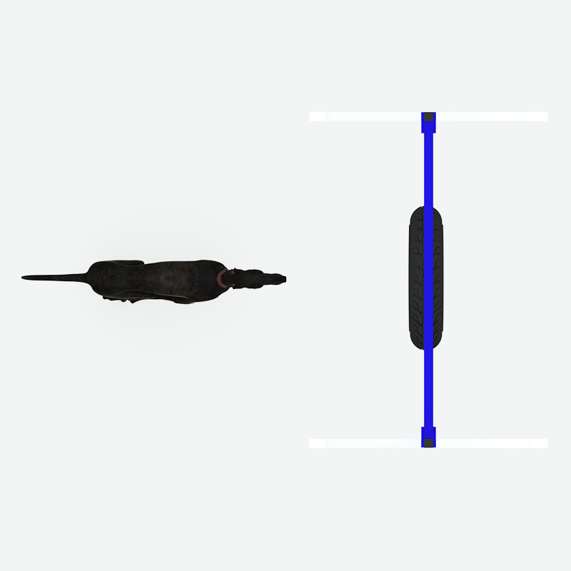 箍杆跳吧，宠物游乐场游戏供应商