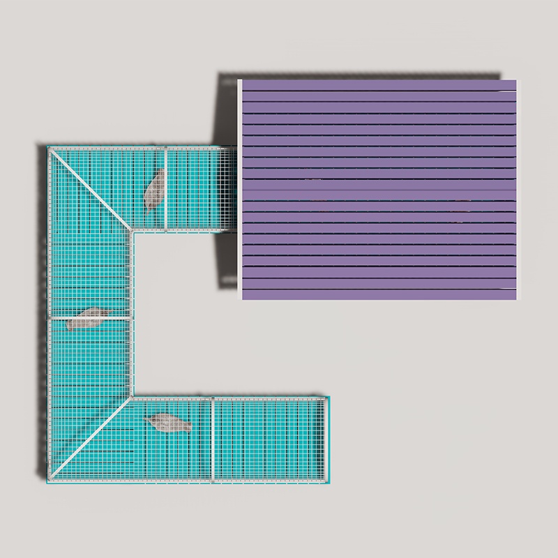 宠物游乐场互动家禽游乐场设备