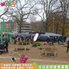 新型景观非标游乐设施 经典木质游乐设备 公园儿童鲨鱼游乐组合LT-FB001