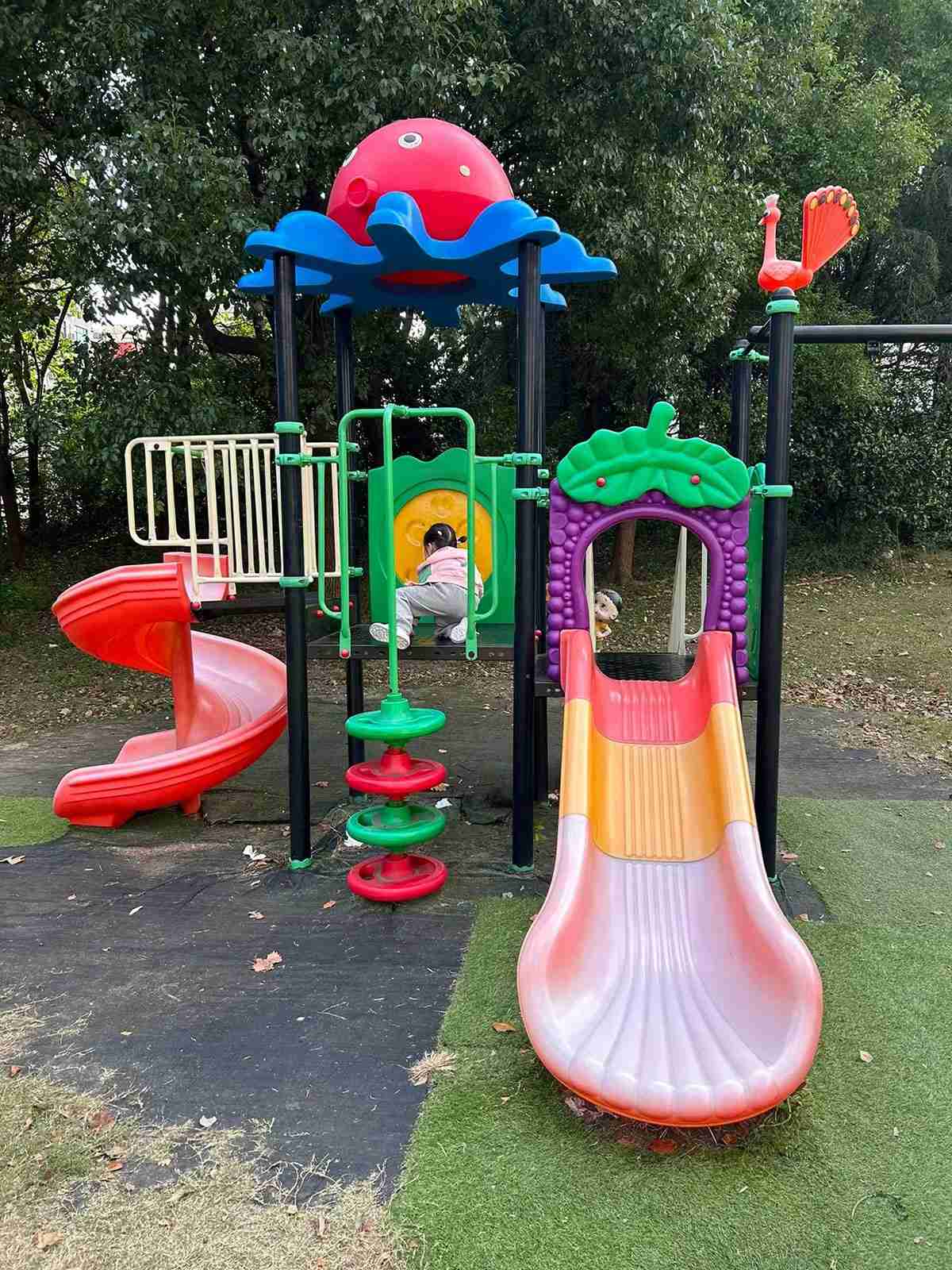 塑料户外滑梯 (8)