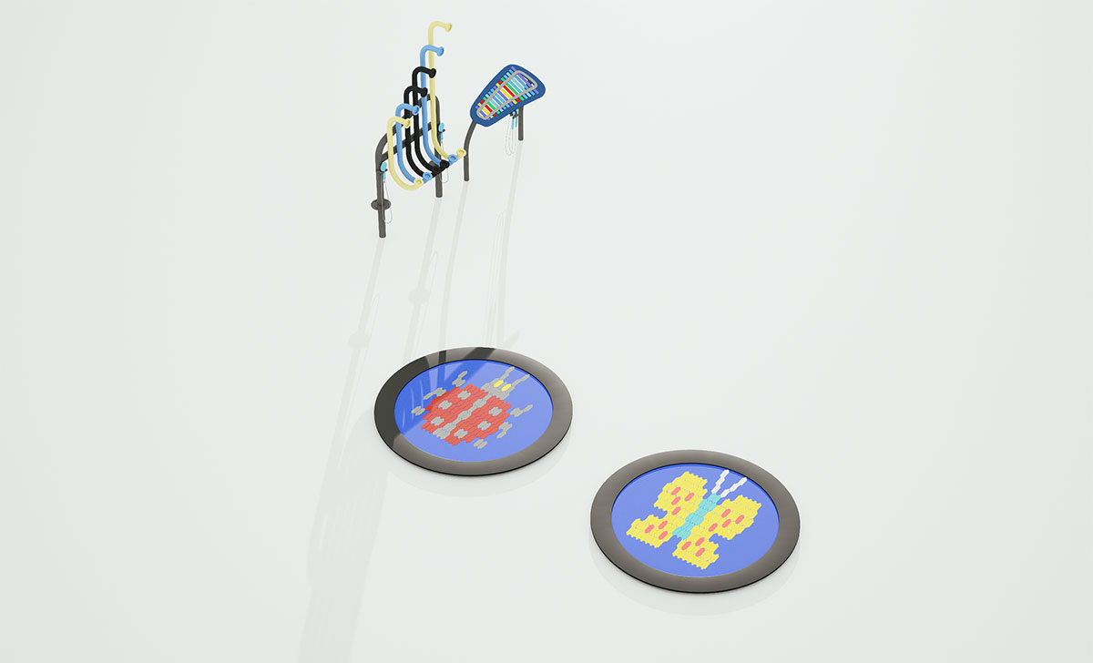 社区中心游乐场 (10)