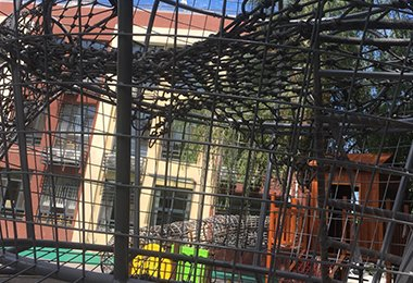 华北电力大学-8