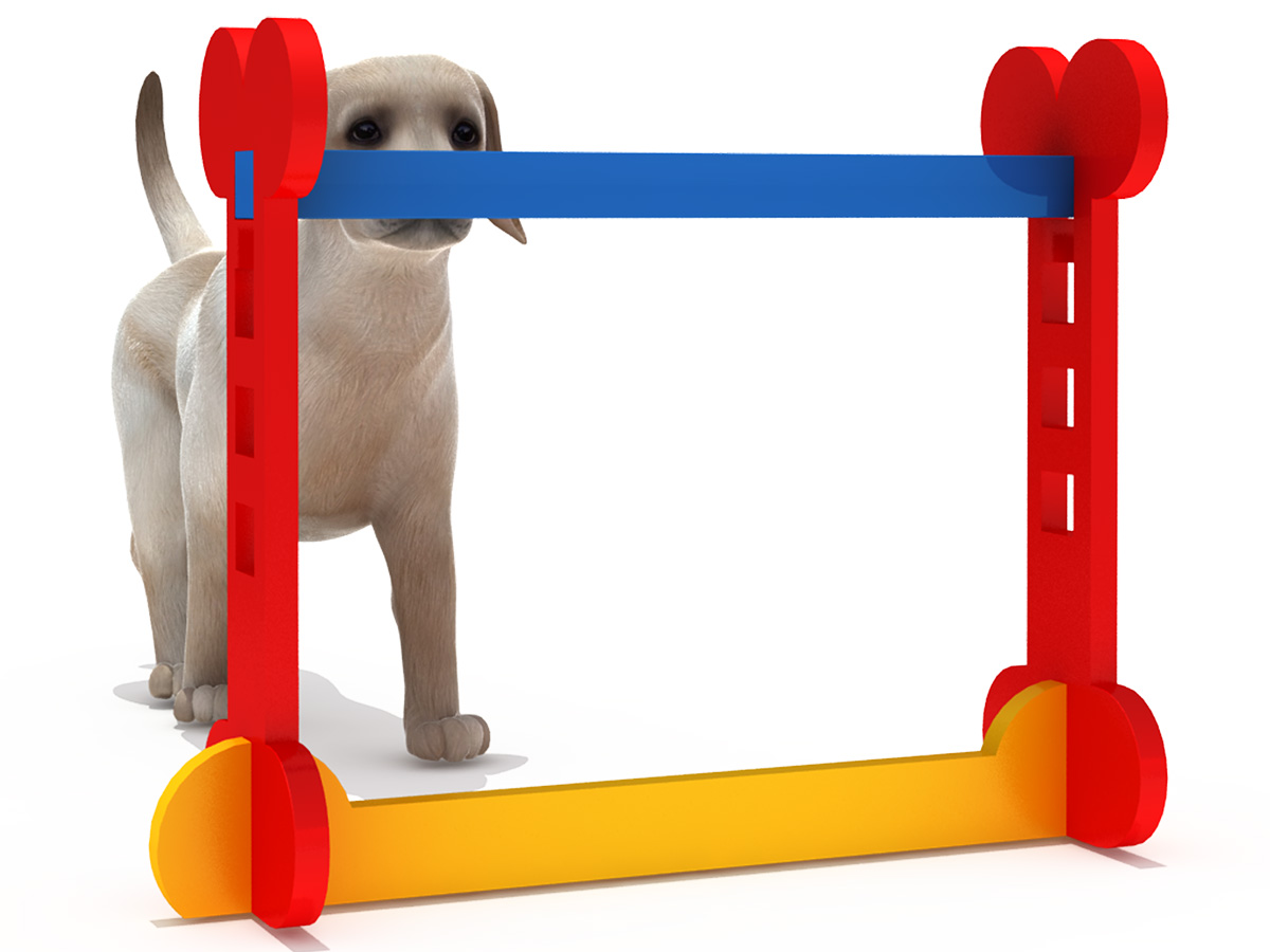 宠物游乐场设备 (1)