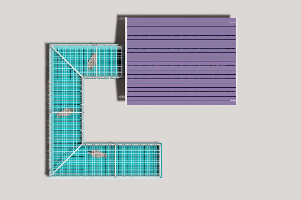 家禽游乐场喂食器3