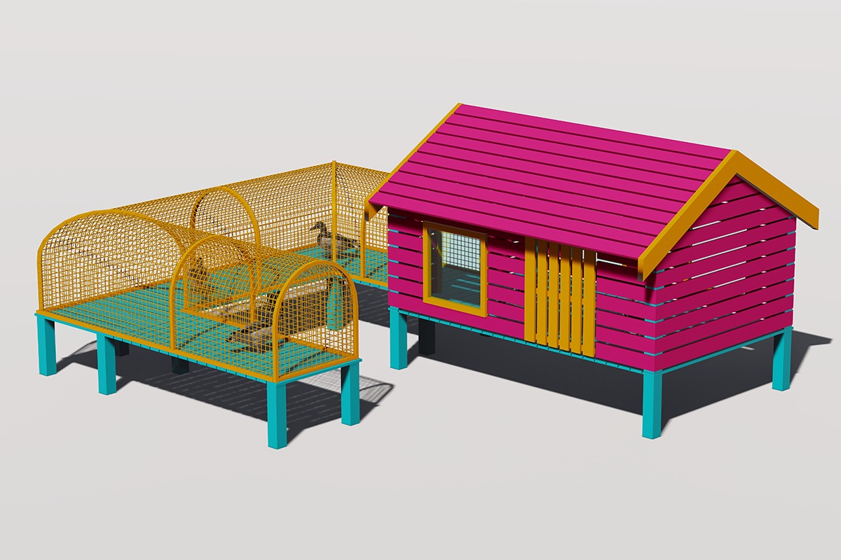 宠物动物园鸭舍 (3)