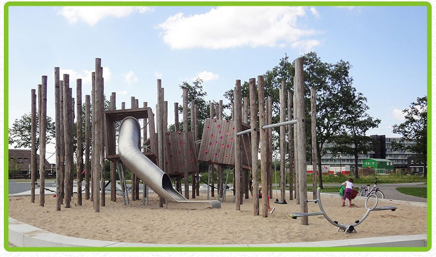 科学昆虫蝗虫乐园工程案例 (6)