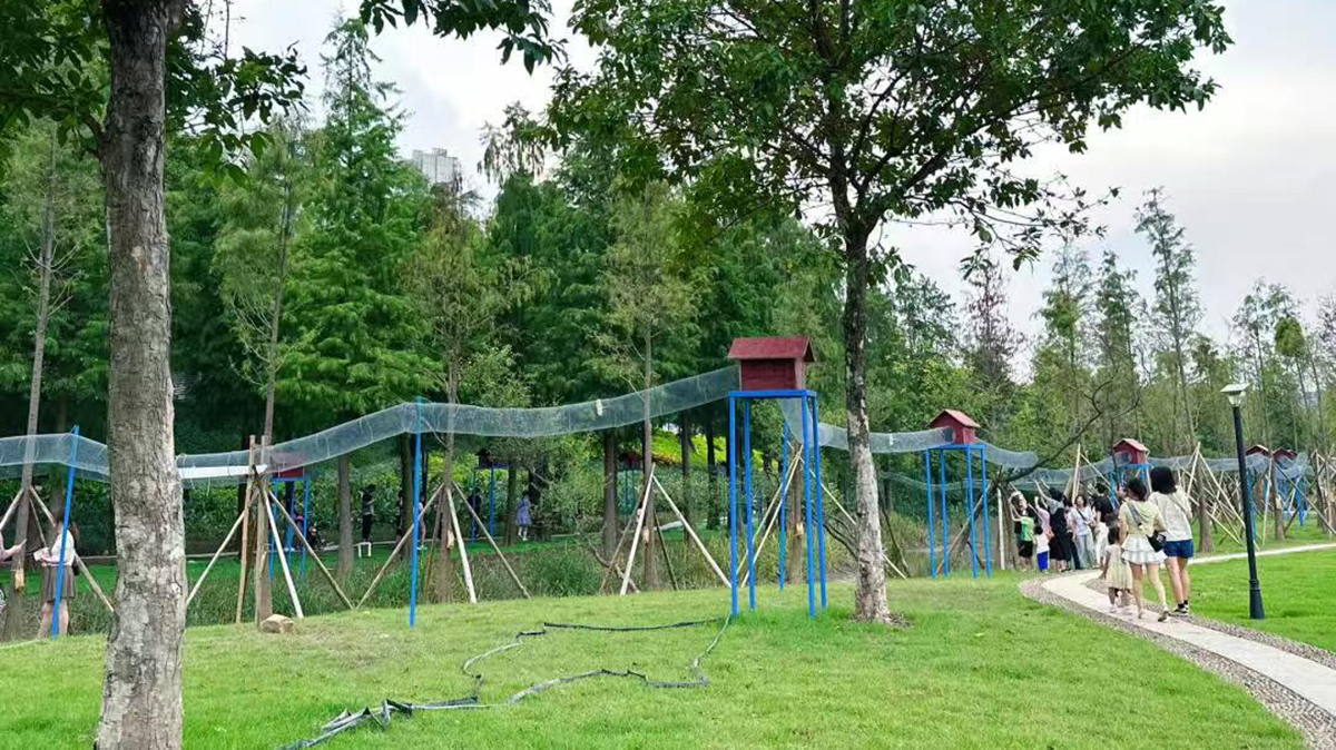 宠物游乐场 (10)