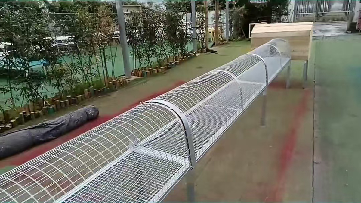 宠物游乐场游戏 (7)