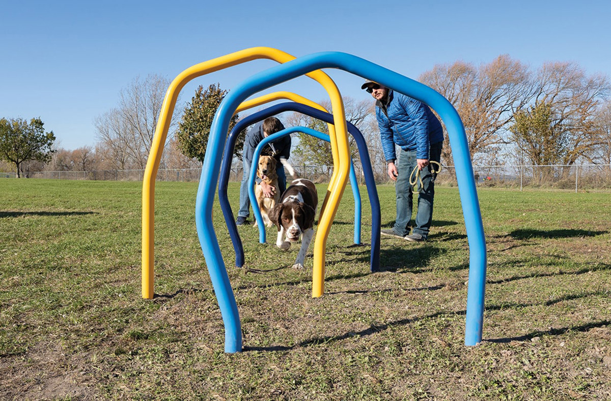 宠物游乐场游戏 (4)