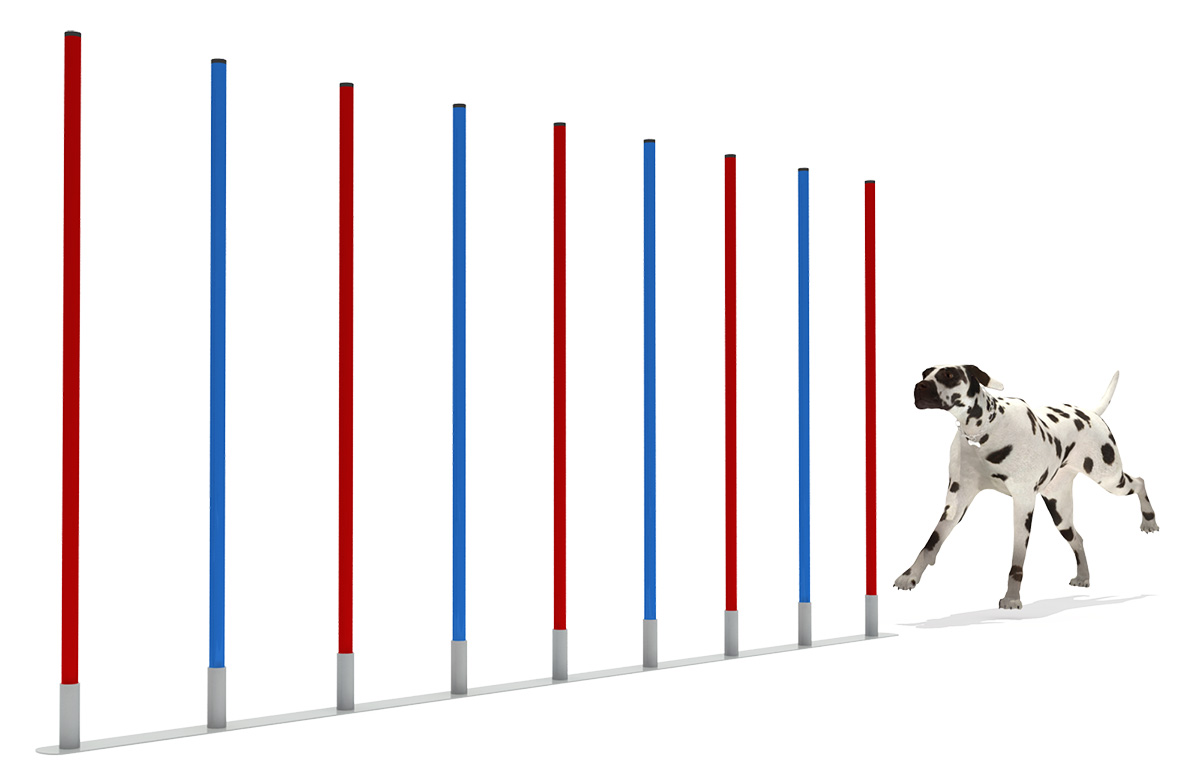 宠物游乐场设备 (2)