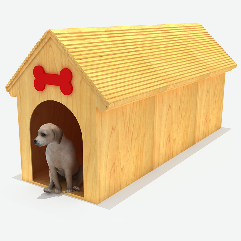 狗屋、宠物游乐场工厂