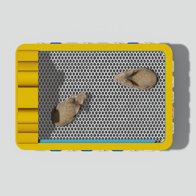 出售兔子游乐场：互动喂食 