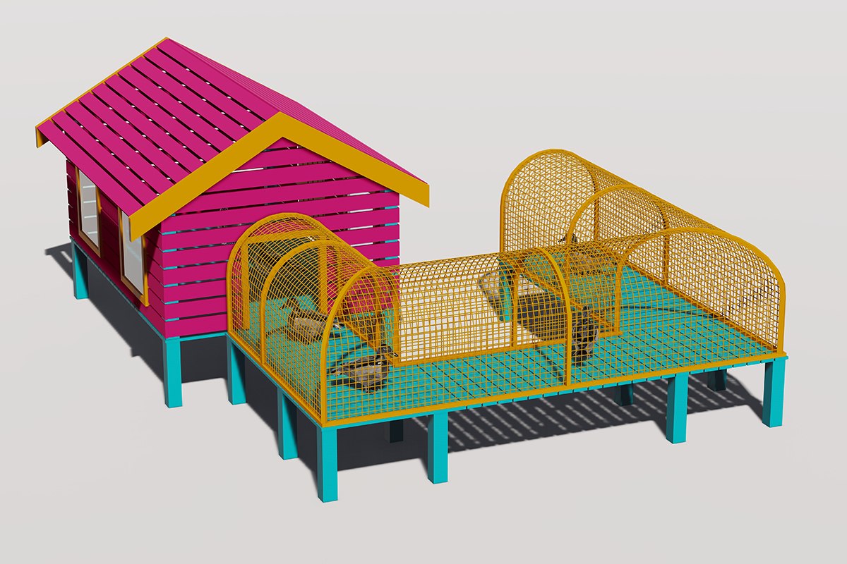 宠物动物园鸭舍 (4)