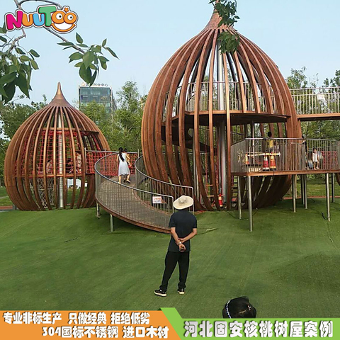 固安核桃树户外非标游乐设备组合滑梯_乐图非标游乐设备